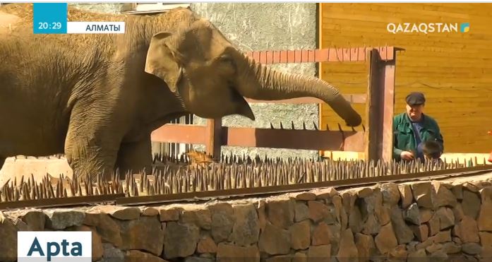 Жабайы аң-құстардың етін жеуге тыйым салынбақ