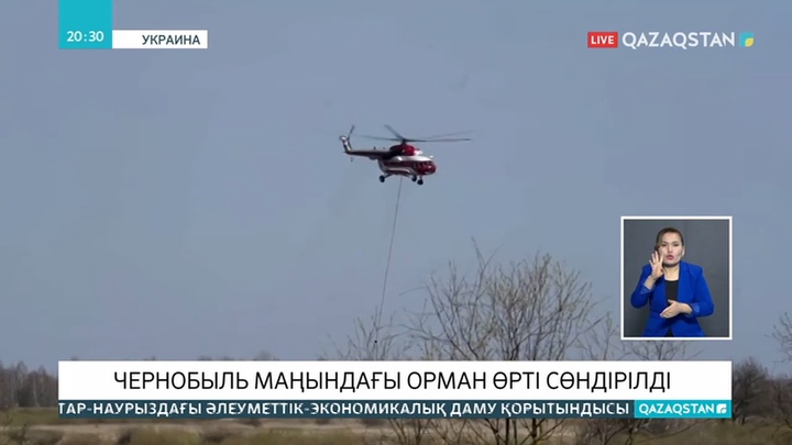 Украинада бір апта бойы өршіген орман өрті сөндірілді