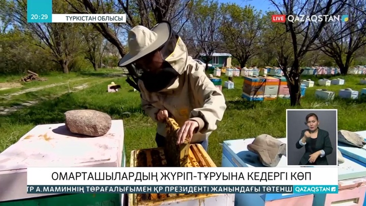 Аймақтағы омарташылардың мәселесі әлі де шешімін таппады