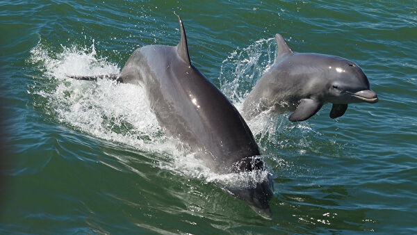 Коронавирус әлемге қалай әсер етті?