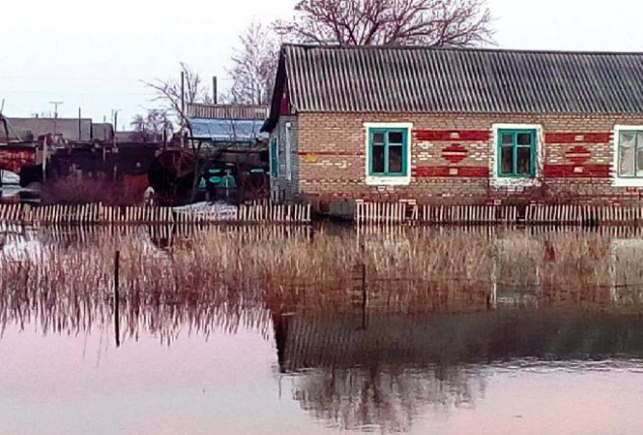 Қостанай облысында 60 тұрғын үйді еріген қар суы басты