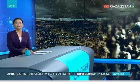 Түркістанда бұршақ жауып, шаруалар шығынға батты