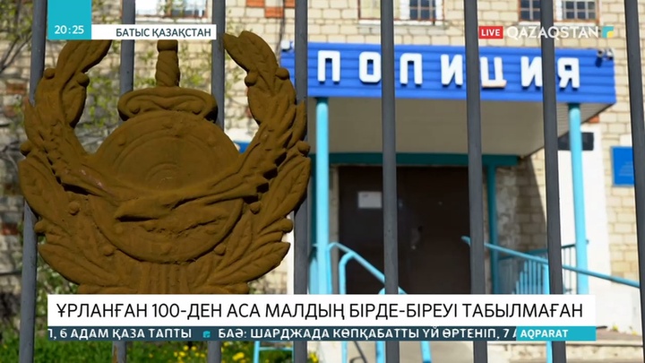 Батыс Қазақстан облысында мал ұрлығы өршіп тұр