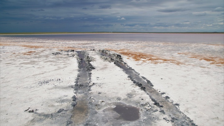 Президент табиғатқа зиянын тигізгендерге салынатын айыппұл құнын ұлғайтуды тапсырды
