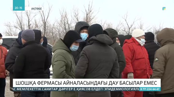 Ақтөбе облысында шошқа фермасы айналасындағы дау басылар емес