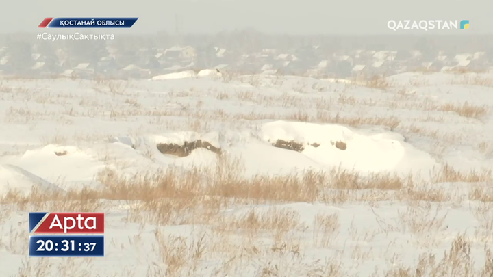Қостанай облысы: Cібір жарасы анықталған жерде құм өндіретін карьер ашылмақ
