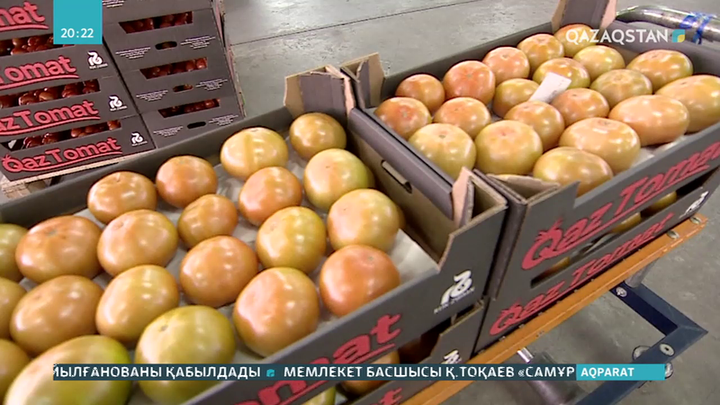 Ресей көкөніс тасымалына шектеу қойды