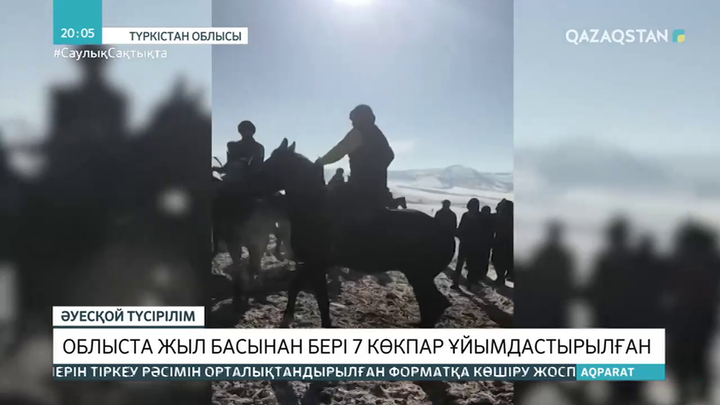 Түркістан облысында жыл басынан бері 7 көкпар ұйымдастырылған