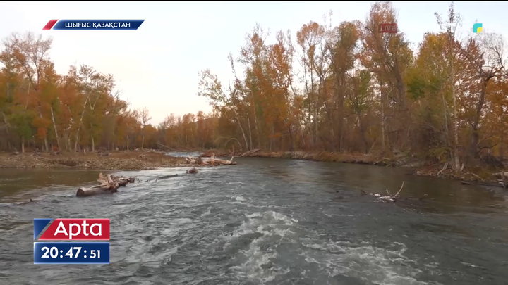 Шығыс Қазақстанда бірнеше ауыл 2-3 жылдан бері алтын шайылған лас суды тұтынып отыр