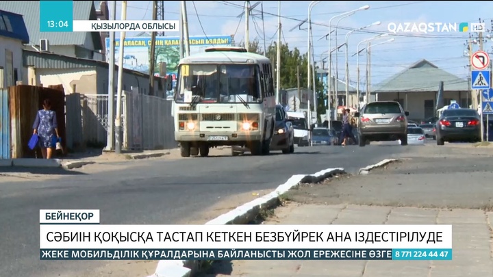 Қызылорда облысында сәбиін қоқысқа тастап кеткен безбүйрек ана іздестірілуде