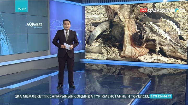 Түркістан облысында 200-ден астам заңсыз қоқыс алаңы бар