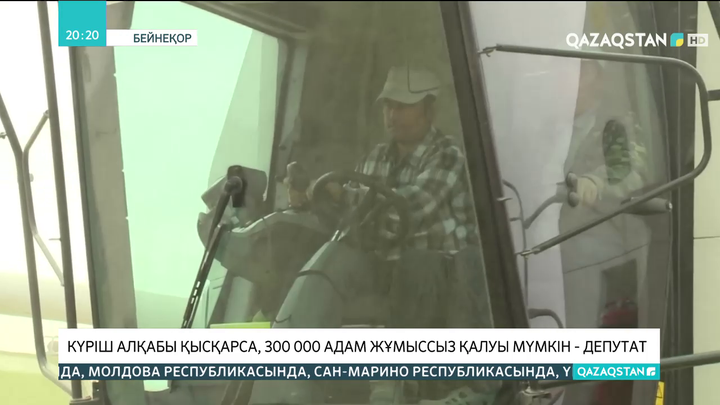 Күріш алқабы қысқарса, 300 мың адам жұмыссыз қалуы мүмкін - депутат