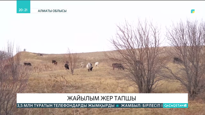 Алматы облысы Қайнарлы ауылының тұрғындары жайылым жерден тарығып отыр