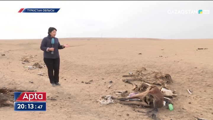 Түркістан облысындағы Әлімтау ауылы жаздағы қуаңшылықтың зардабын әлі тартып отыр