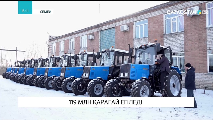 Семейде 119 миллион қарағай көшеті егіледі