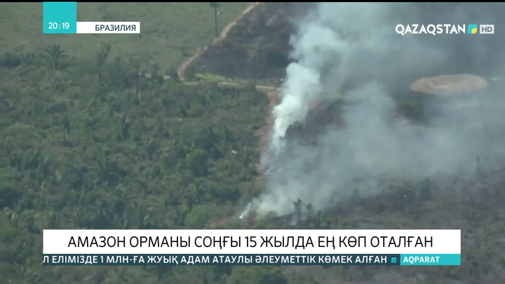 Амазон орманы соңғы 15 жылда ең көп оталған