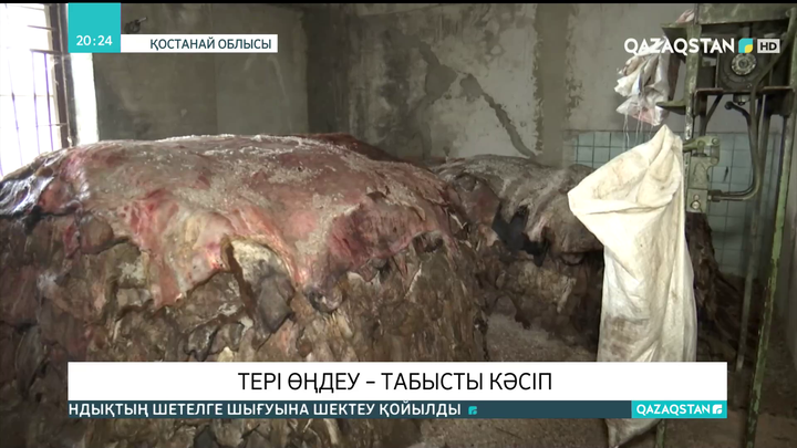 Арқалық қаласында тері өңдеу зауытының ашылуы өңірдегі өңдеу саласын ілгерілетті