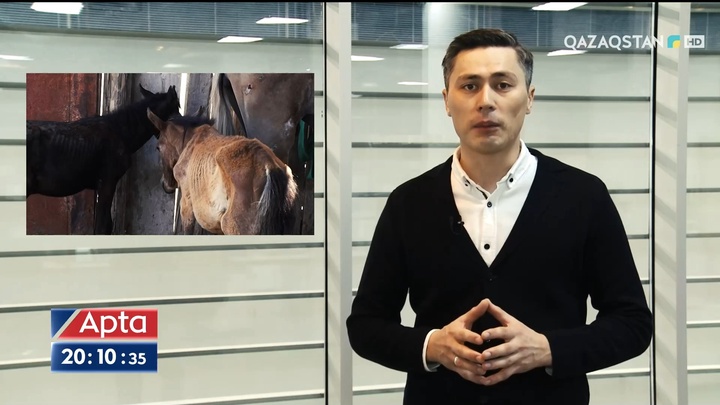 Биыл Қызылорда облысы мен Батыс Қазақстан құрғақшылықтан қатты зардап шекті