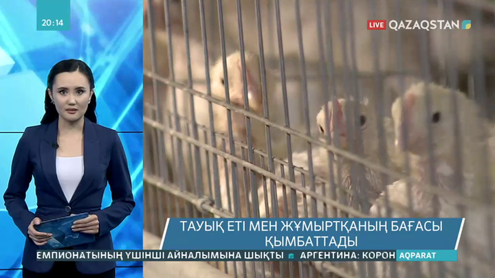 Тауық еті мен жұмыртқа бағасы қымбаттады