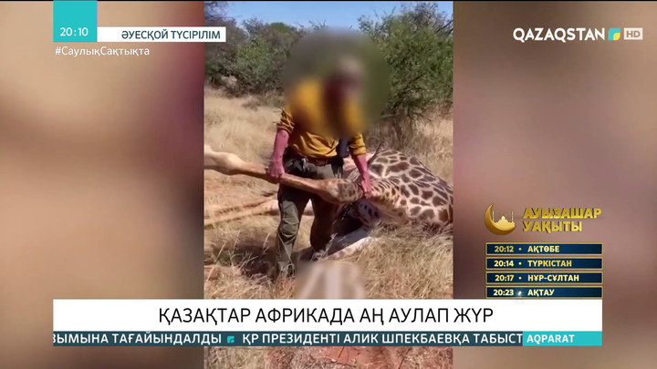 Қазақтар Африкада аң аулап жүр