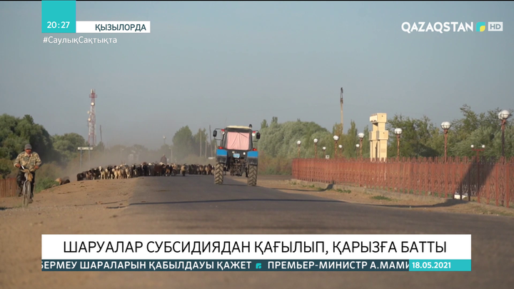 Сыр өңірінде шаруалар субсидиядан қағылып, қарызға батты