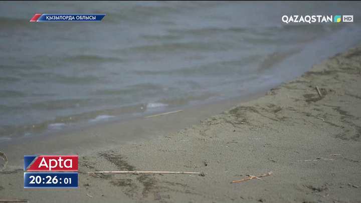 Сырдарияның алабындағы ең ірі көлге су жетпей, аңқасы кеуіп, құрып барады