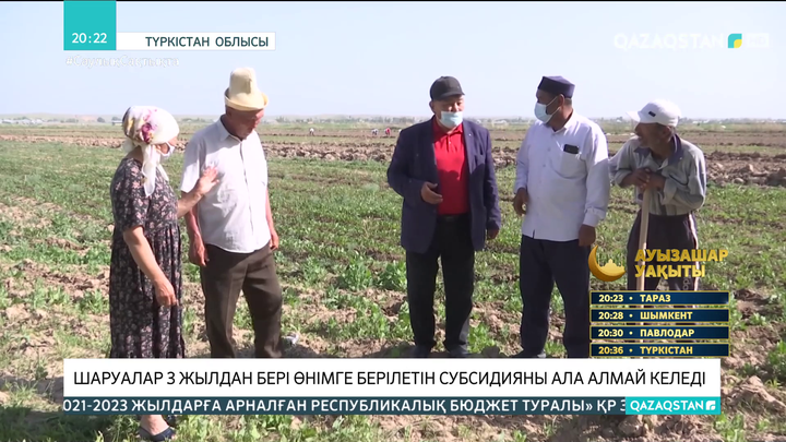 Түркістан облысында шаруалар 3 жылдан бері өнімге берілетін субсидияны ала алмай келеді