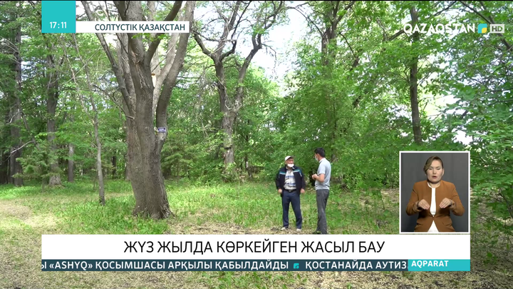 СҚО-дағы 123 жылдық тарихы бар дендробақта сирек кездесетін ағаштар өседі