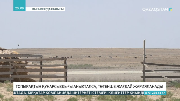 Аралда шаруаларға мың тоннадан астам жем-шөп жеткізілген