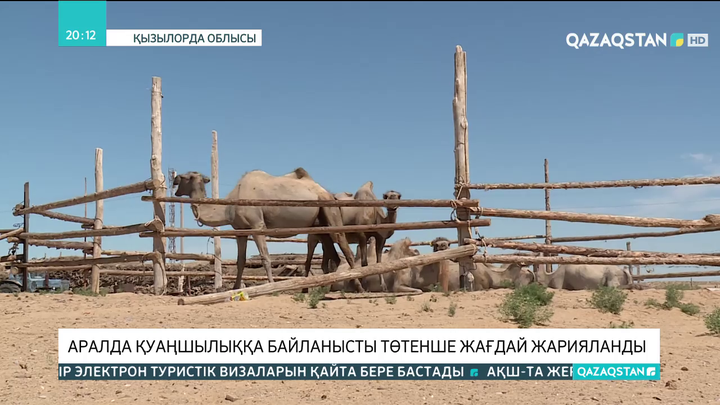 Аралда қуаңшылыққа байланысты төтенше жағдай жарияланды