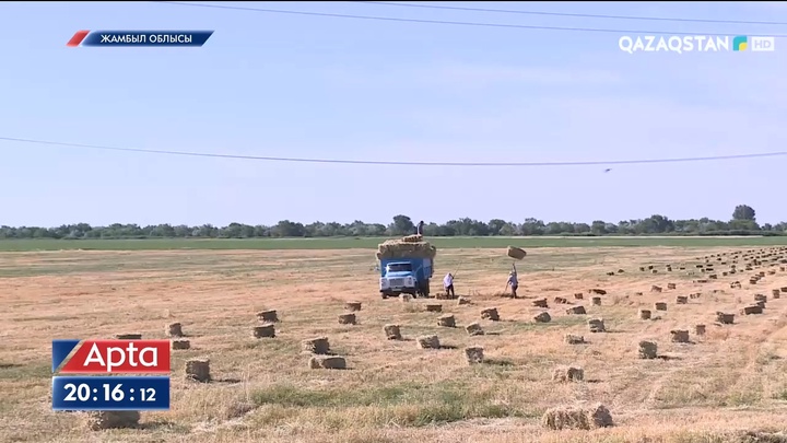 Маңғыстау мен Қызылордадағы қуаңшылық: Өңірлердегі ахуал күрделеніп барады