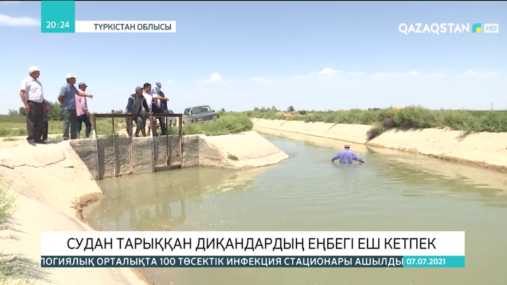Отырар ауылында судан тарыққан диқандардың еңбегі еш кетпек