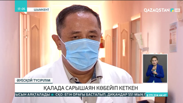 Шымкентте  тамыз айында  43 адамды сарышаян шаққан