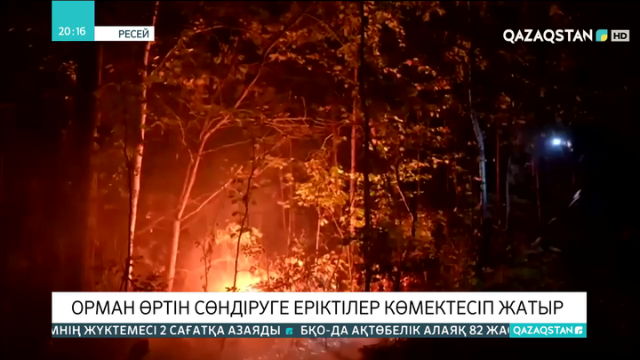 Ресейдің Свердловск облысында  орман өртін сөндіруге еріктілер көмектесіп жатыр