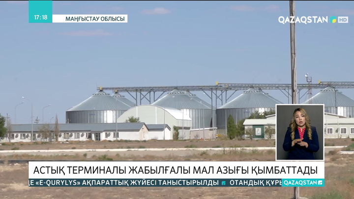 Маңғыстау облысында астық терминалы жабылғалы мал азығы қымбаттады