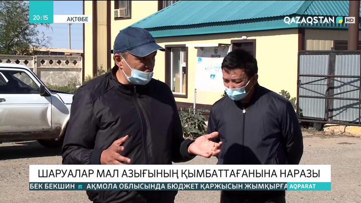 Ақтөбелік шаруалар мал азығының қымбаттағанына наразы