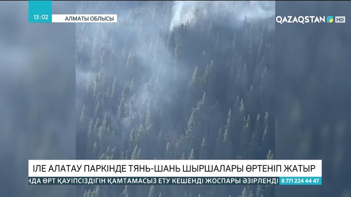 Іле Алатау паркінде Тянь-шань шыршалары өртеніп жатыр