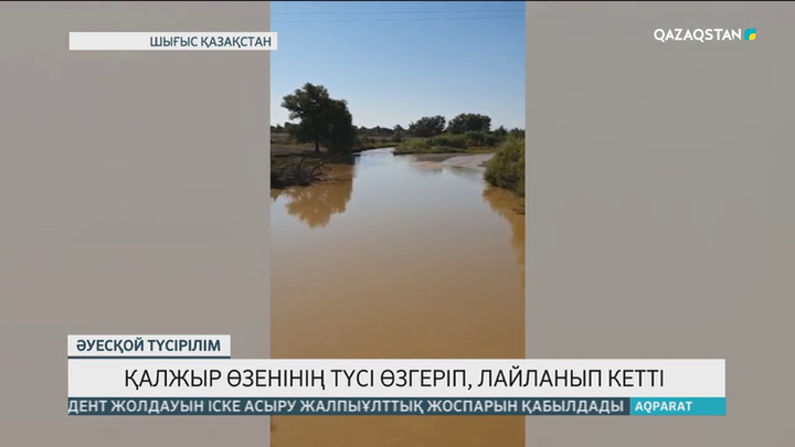 ШҚО-да Қалжыр өзенінің түсі өзгеріп, лайланып кетті