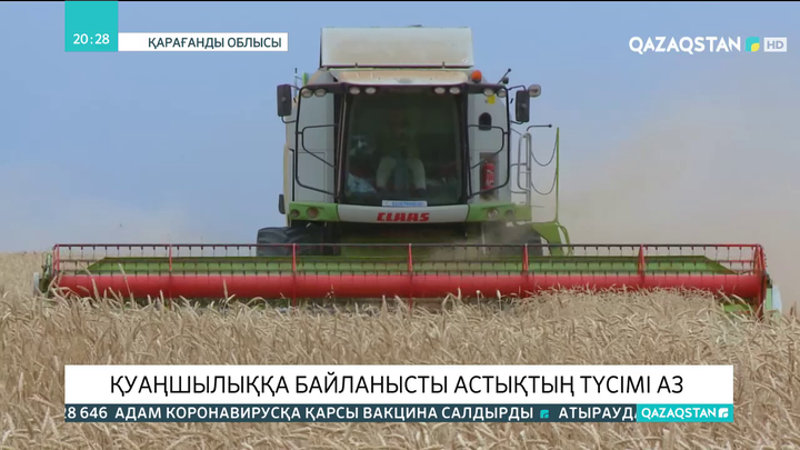 Қарағанды облысында қуаңшылыққа байланысты астықтың түсімі аз