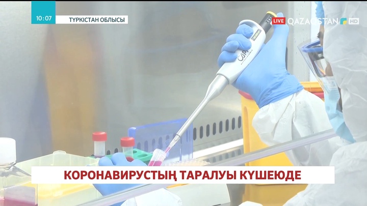 Түркістан және Ақмола облыстарында коронавирустың таралуы күшеюде