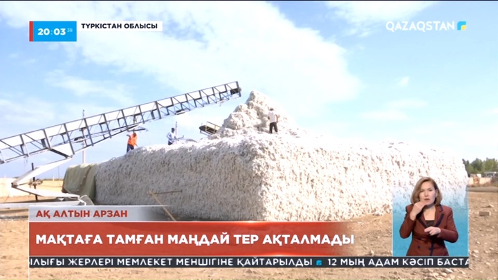 Экспортқа тәуелді: Түркістандық мақташылар өнімдерін сата алмай отыр