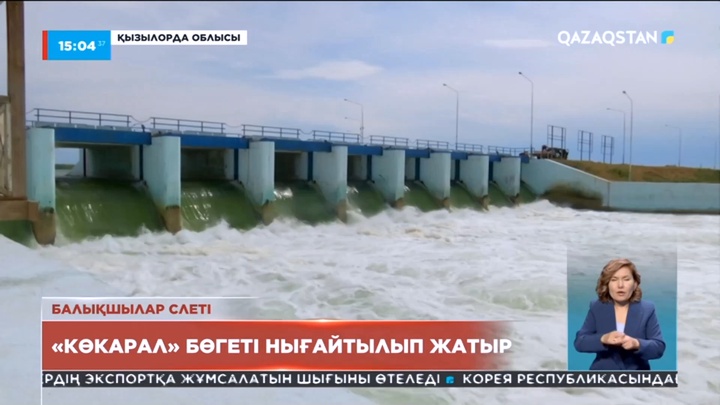 Кіші Аралды сақтап қалу жобасына биыл мемлекеттен 500 млн теңге бөлінген