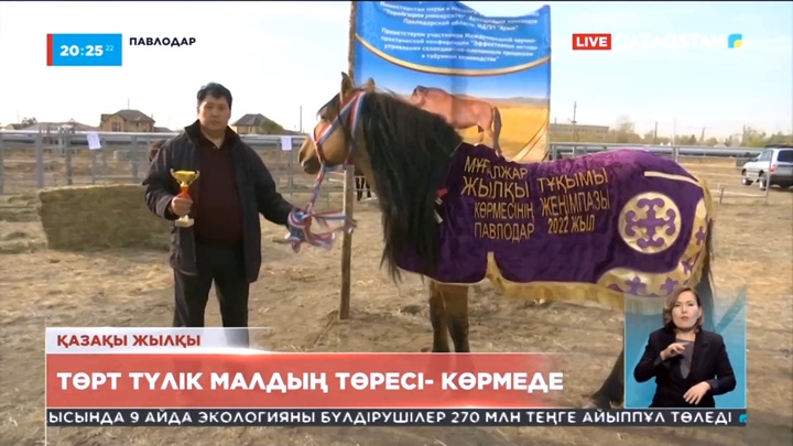 Павлодарда төрт түлік малдың төресі қазақы жылқының көрмесі өтті