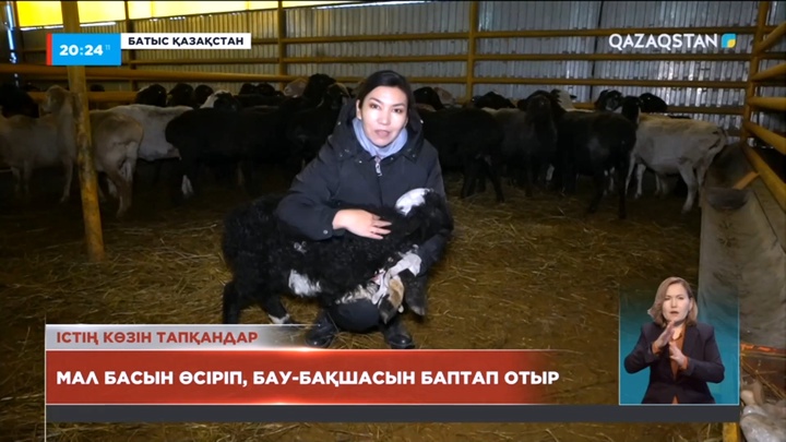 Мал басын өсіріп, бау-бақшасын баптап отыр