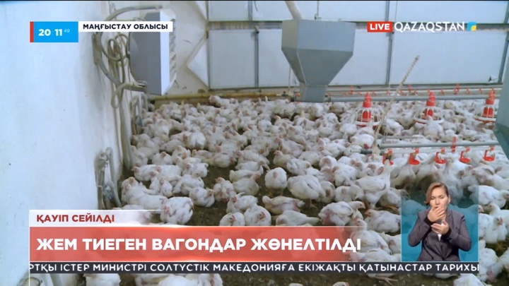 Ақтаудағы құс фабрикасына жем тиелген вагондар жөнелтілді