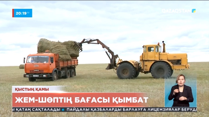 Еліміздің әр аймағында шөптің бағасы қымбаттаған