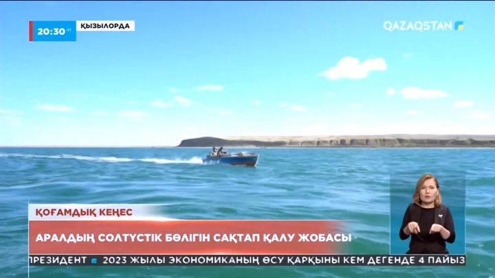 Аралдың солтүстік бөлігін сақтап қалу жобасы талқыланды