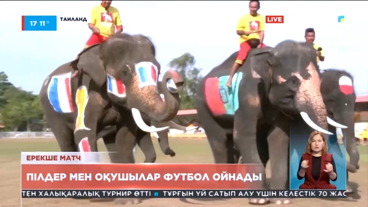 Таиландта пілдер мен оқушылар футбол ойнады