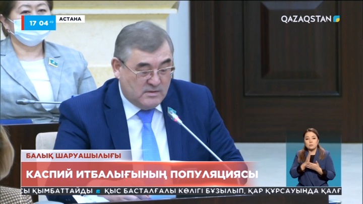 Сенатор Каспий итбалығының популяциясын қалпына келтіру мәселесін көтерді