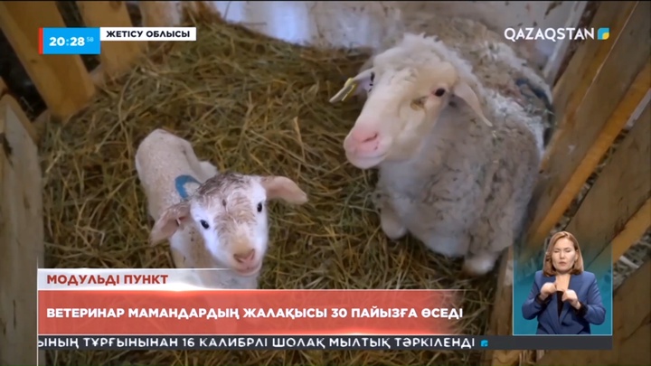 Жетісу облысында биыл бес модульдік малдәрігерлік пункт салынды